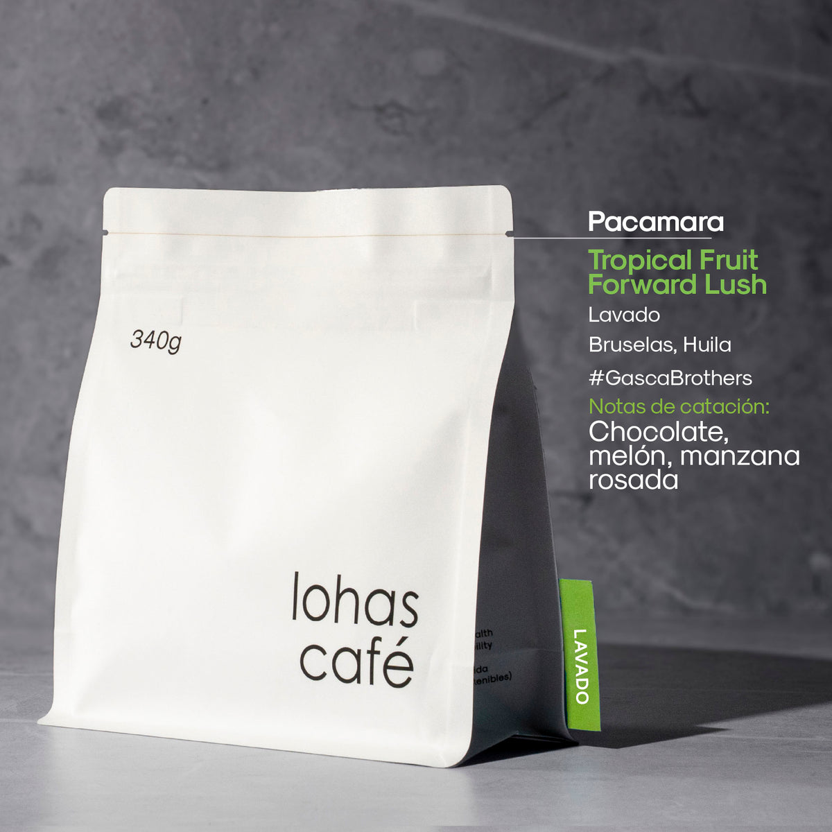Pacamara Tropical Fruit Forward Lush Lavado #GascaBrothers